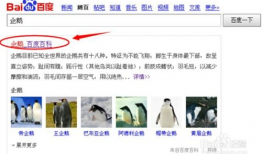 91y直播百度百科,揭秘中国知名直播平台的崛起之路