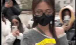 娱乐吃瓜大爆料事件,吃瓜大爆料事件全解析